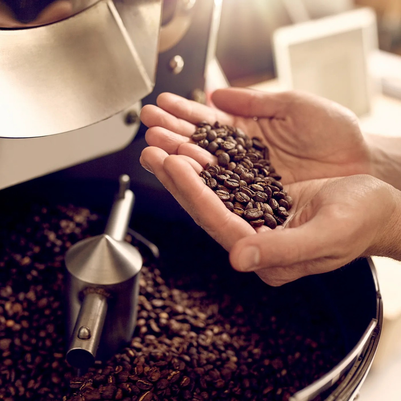 Corso SCA Roasting Professional | Caffè Carraro