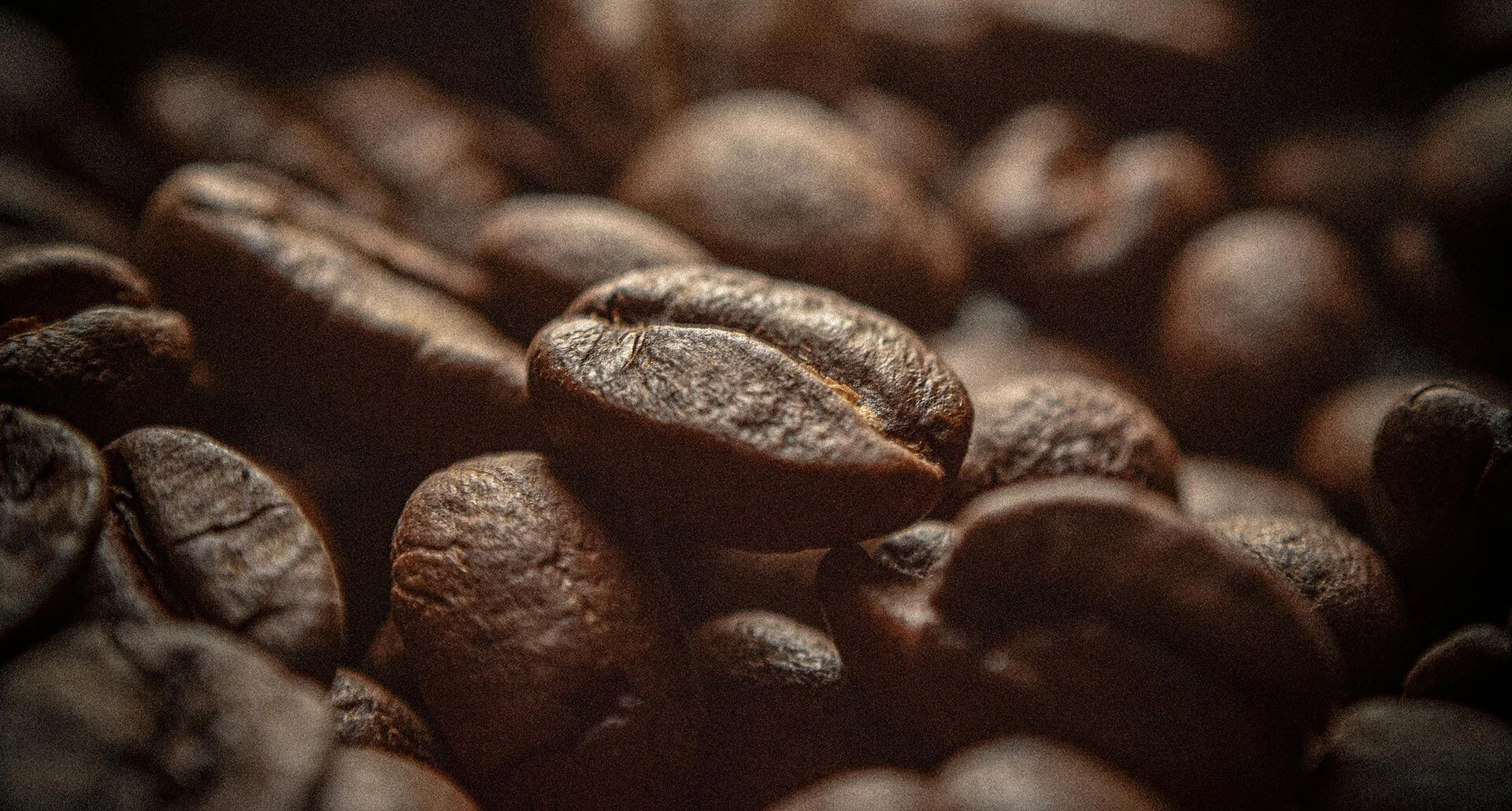 Dal 1927 ogni giorno migliore