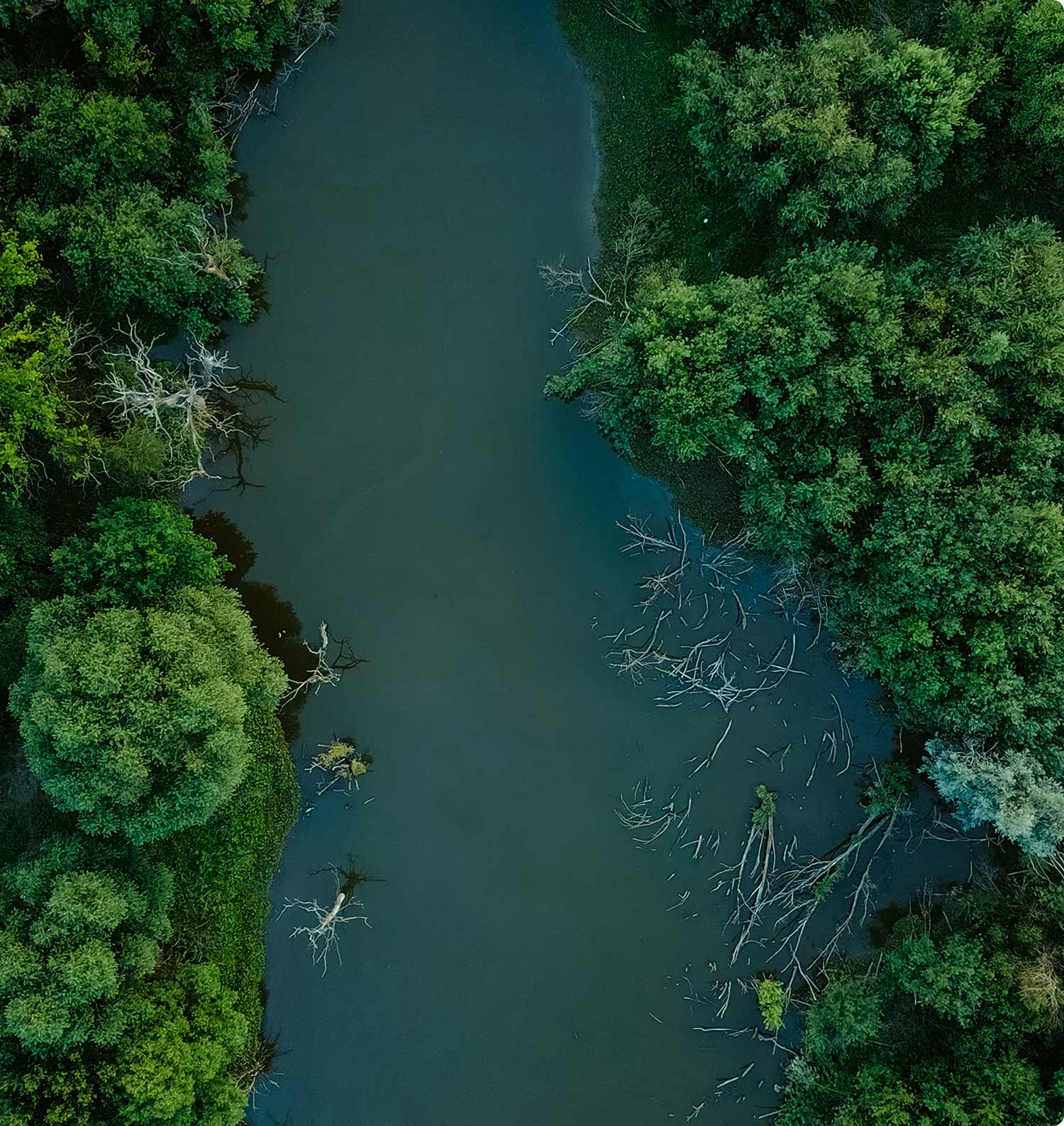 Love Coffee, Love Nature